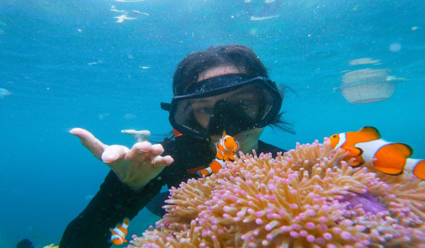 Paket Wisata Pahawang dan Teluk Kiluan